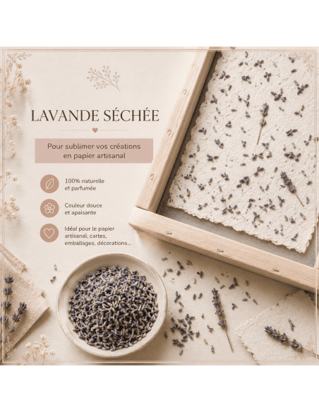 Lavande séchée à incorporer dans feuille de papier fabrication maison.