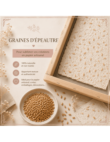 Graines d'épeautre pour la déco des feuilles de papier artisanales.
