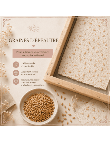 Graines d'épeautre pour la déco des feuilles de papier artisanales.