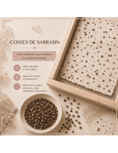 Cosses de sarrazin pour loisirs créatifs à incorporer dans les feuilles de papier artisanales.
