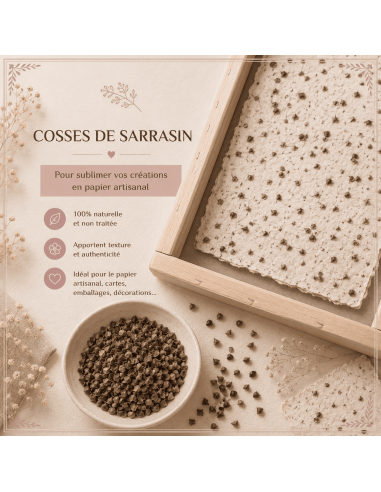 Cosses de sarrazin pour loisirs créatifs à incorporer dans les feuilles de papier artisanales.