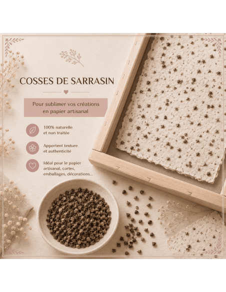 Cosses de sarrazin pour loisirs créatifs à incorporer dans les feuilles de papier artisanales.